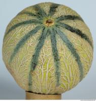 Melon Galia 0019